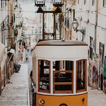 Typical Lisbon Apartment Príncipe Real Lisboa